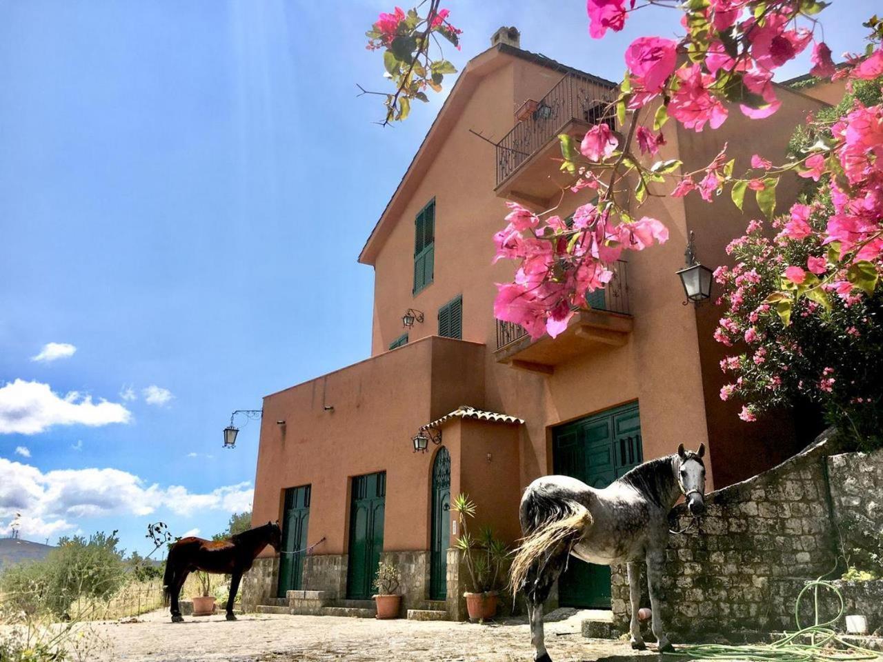 Country Room Sicily - Agrigentoholidays Екстериор снимка
